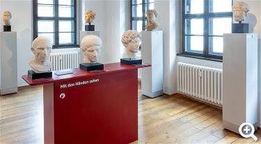 Marmorsaal mit griechischen und römischen Porträts - © Antikenmuseum der Universität Leipzig. Foto: Mandy Putz