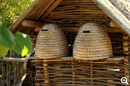 Bienenmuseum in Plau am See © pixabay.com