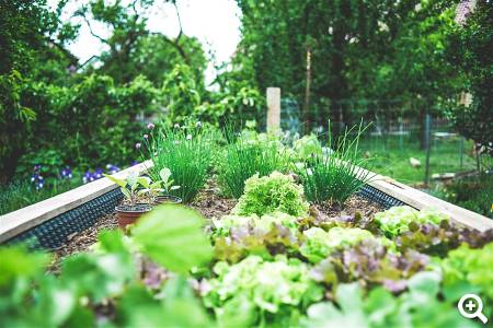 Biogarten Prieros © unsplash.com