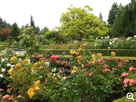 Beispielbild © unsplash.com