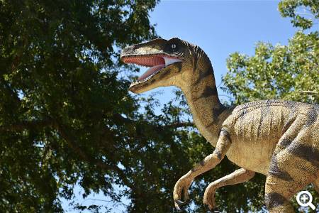 Dinopark Mölschow © pixabay.com