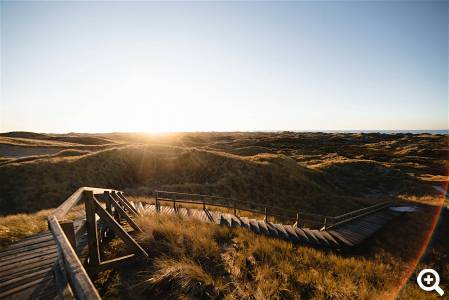 Dünentour auf Amrum © unsplash.com