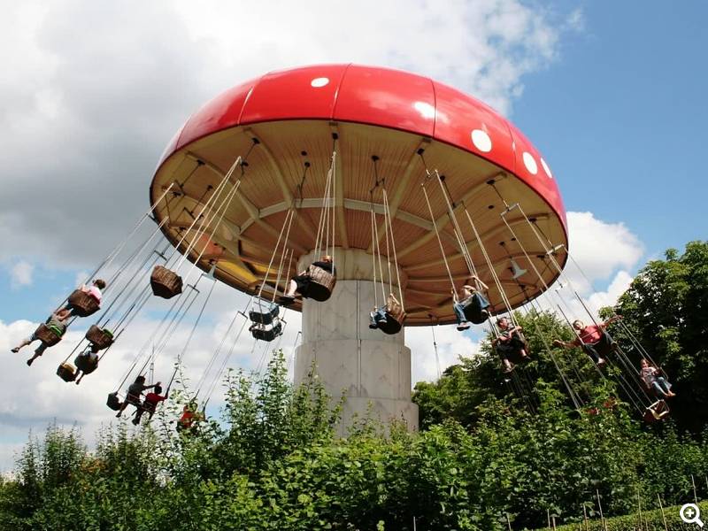 Fliegenpilz