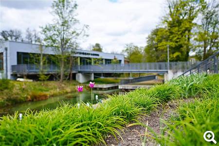 Familiengarten Eberswalde