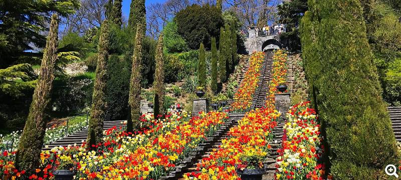 Wassertreppe - Foto: Insel Mainau/Marketing