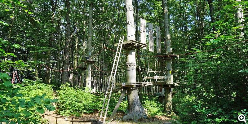 Erklimmen Sie die einzelnen Kletterpfade - Fotos vom Kletterwald
