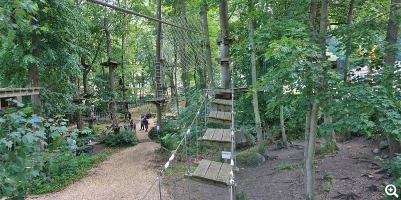 Hoch im Wald ... - Fotos vom Kletterwald