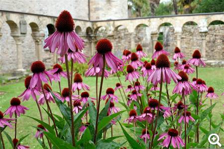 Beispielbild © pixabay.com