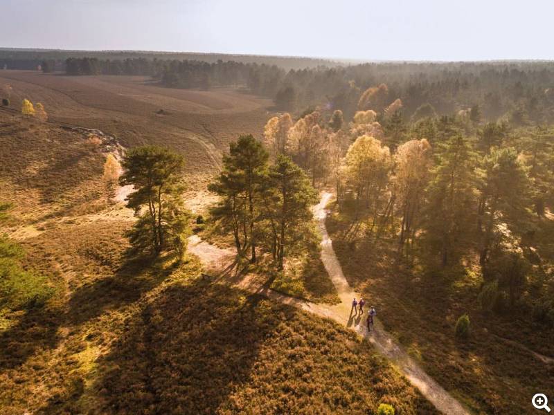 Heideflaeche ©Lüneburger Heide GmbH