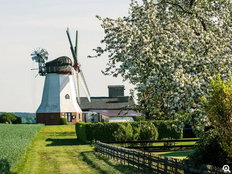 Muehle ©Lüneburger Heide GmbH