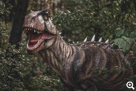 Beispielbild © pixabay.com