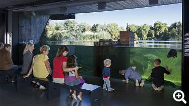 Ausstellung mit Aquarium - © Müritzeum Waren, Foto: MirkoRunge