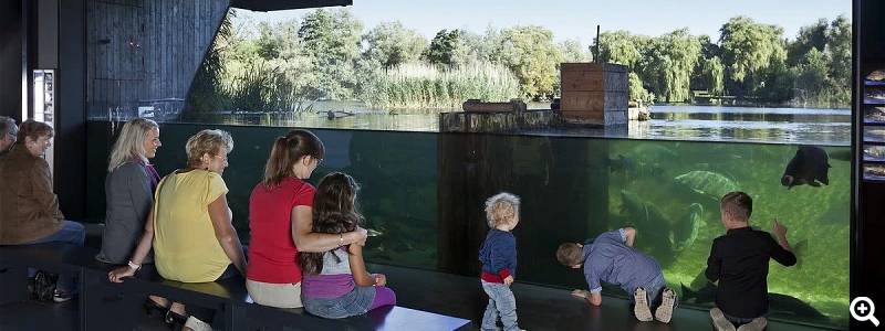 Ausstellung mit Aquarium - © Müritzeum Waren, Foto: MirkoRunge