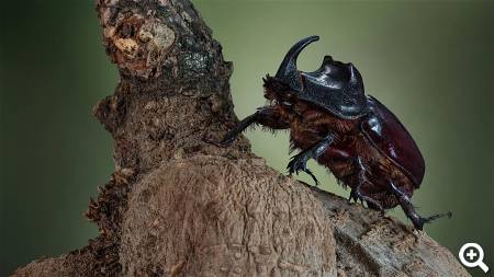 Beispielbild © pexels.com