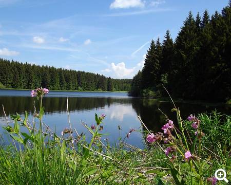 Oberharzer Wasserregal © pixabay.com