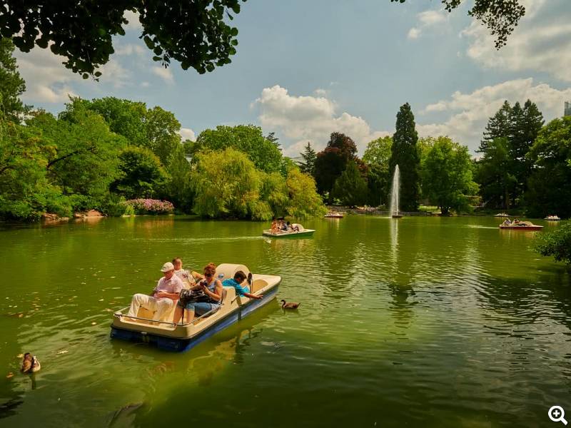 Bootsfahrt auf dem Teich