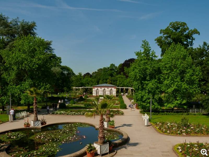 Außenanlage mit Teich
