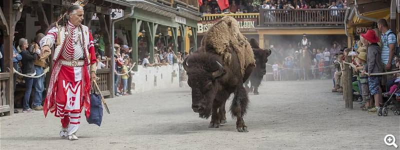 Indianer mit Bisons Foto: Pullman City
