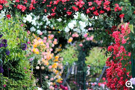 Beispielbild © pixabay.com