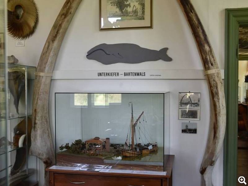 Museum Ausschnitt Walfang