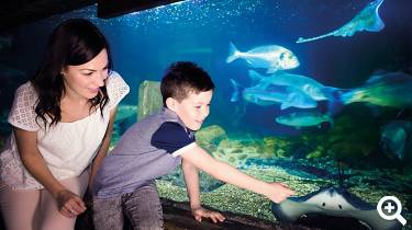 SEA LIFE München Familie am Aquarium