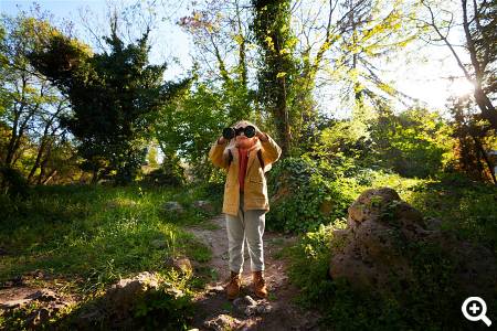 Beispielbild · Bild von freepik