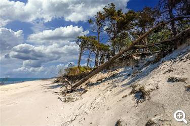 NP Vorpommersche Boddenlandschaft - Foto: Zotx auf Pixabay