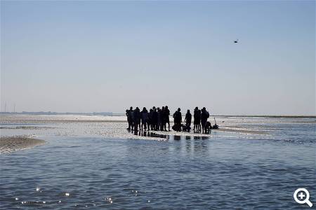 Wattwanderung Hallig Hooge © pixaby.com