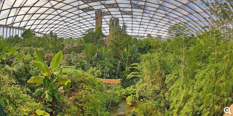 Gondwanaland - © Zoo Leipzig