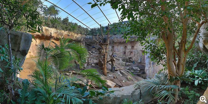 Innenanlage vom Pongoland - © Zoo Leipzig