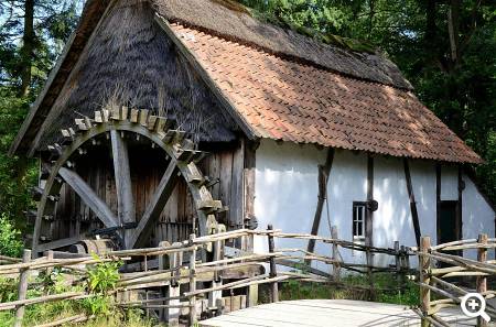 Arboretum Bokrijk © unsplash.com