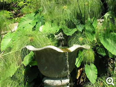 Brunnen © Archive GBH-photo Daniela Guglielmi