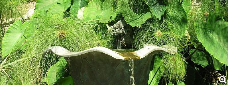 Brunnen © Archive GBH-photo Daniela Guglielmi