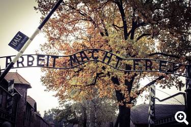 auschwitz © pixabay