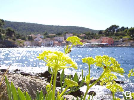 Insel Lošinj © pixabay.com