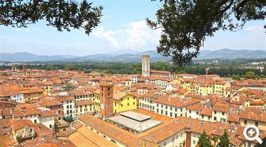 Blick vom Torre Guinigi auf Lucca
