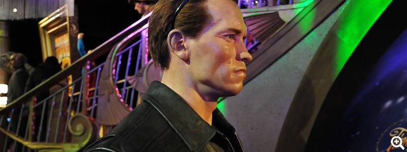 Arnold Schwarzenegger: Schauspieler und Ex-Gouverneur von Kalifornien