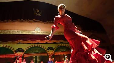 Flamenco © pixabay.com