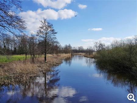 Nationalpark Drentsche Aa © unsplash.com
