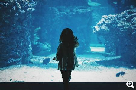 Palma Aquarium Mallorca © unsplash.com