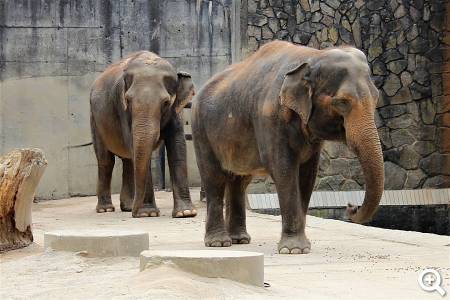 Zoo Liberec © pixabay.com