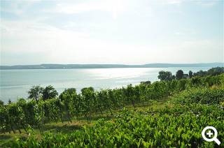 Blick auf den Bodensee