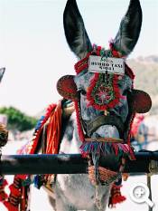 KLassenfahrt Spanien - Unsplash by Caleb Stokes