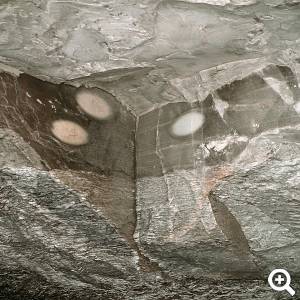 Alabasteraugen