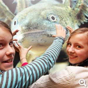 Dieses Museum ist ein Abenteuer