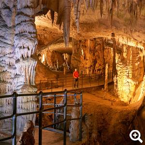 Höhle von Postojna