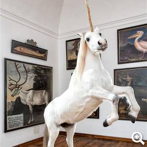 Einhorn in der Schlossausstellung SchauLust