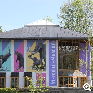 Naturkunde- und Mammut-Museums Siegsdorf