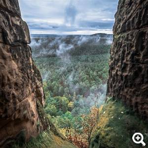 Ausblick auf das Waldgebiet Heers