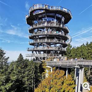 Waldturm © pixabay.com